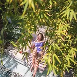 Ami Tai-bungalows Pet Lovers Hotel