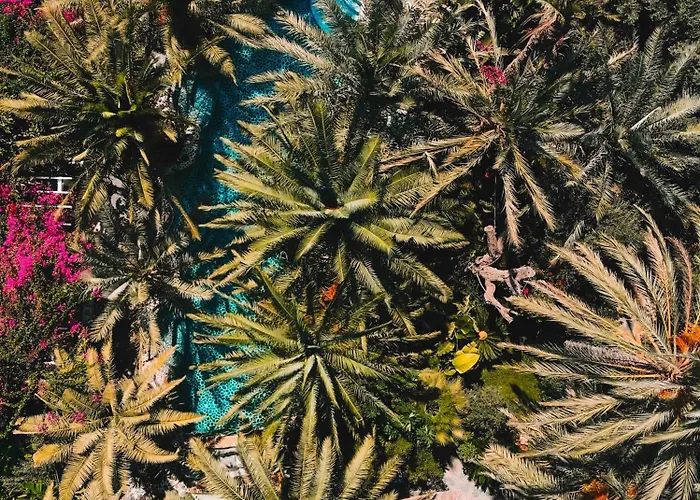 Ami Tai-bungalows Pet Lovers